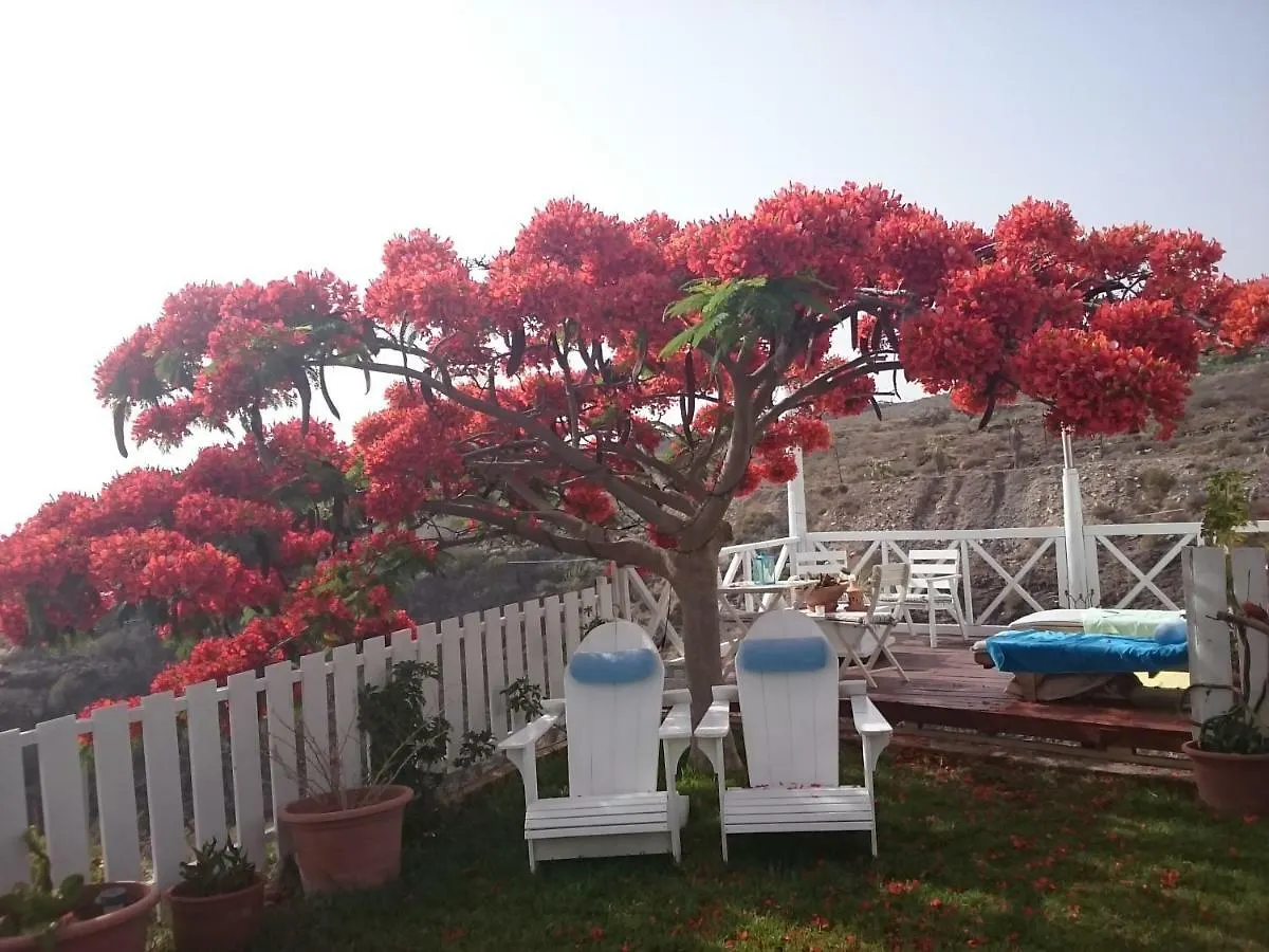 Chalet Villa La Casita Costa Adeje  España
